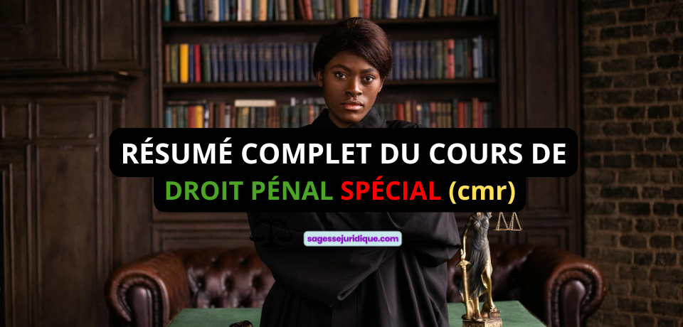 RÉSUMÉ COMPLET DU COURS DE DROIT PÉNAL SPÉCIAL CAMEROUNAIS