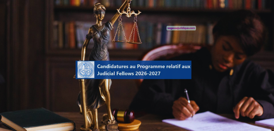 Programme relatif aux Judicial Fellows de la Cour internationale de Justice