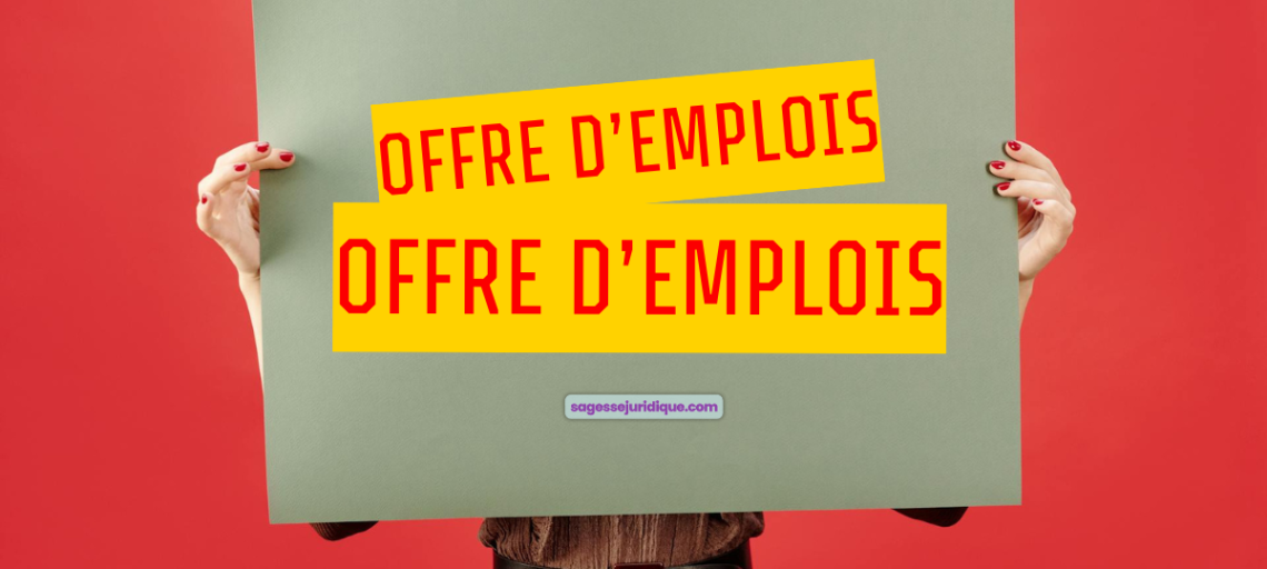 Commercial B2B Lyon CDI